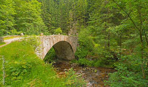 Bridge over a river in summer