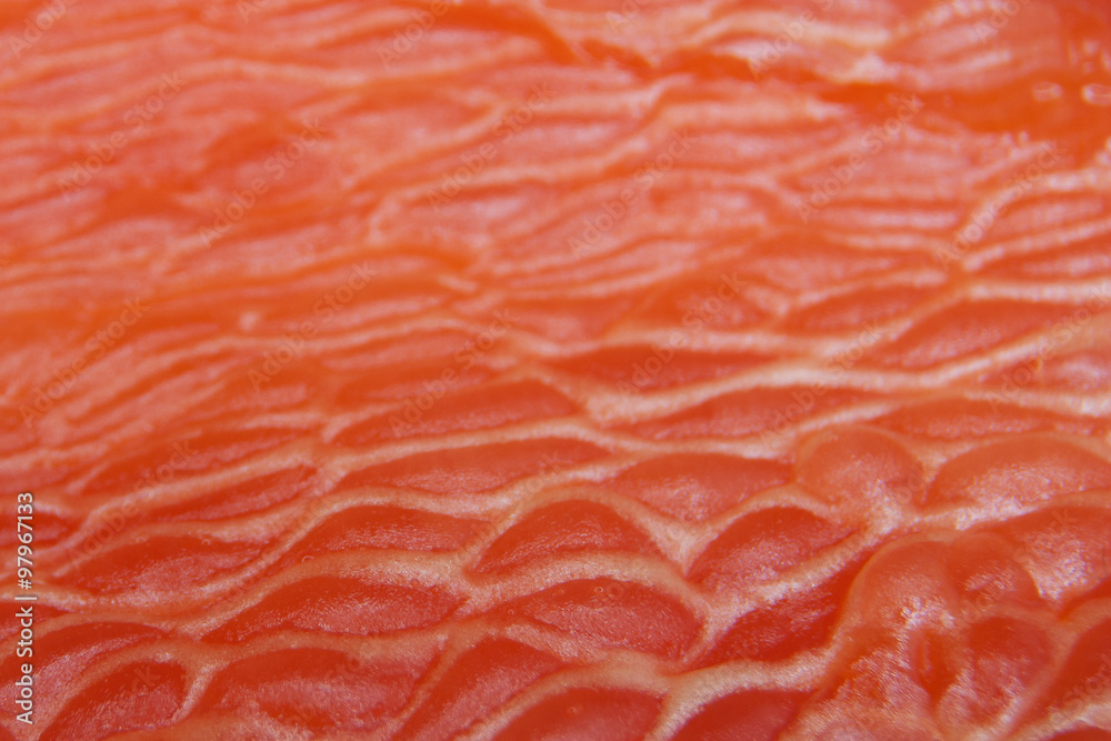 Detailaufnahme der inneren Seite einer Paprika Detailaufnahme der inneren Seite einer Paprika