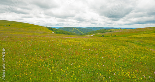 Meadows in mountains in summer