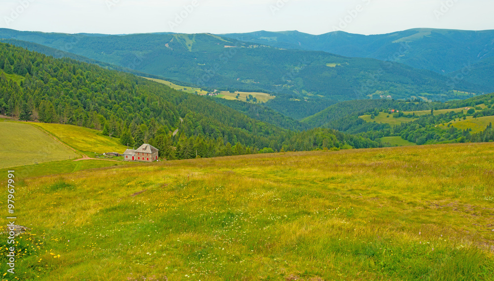 Obraz premium Meadows in mountains in summer