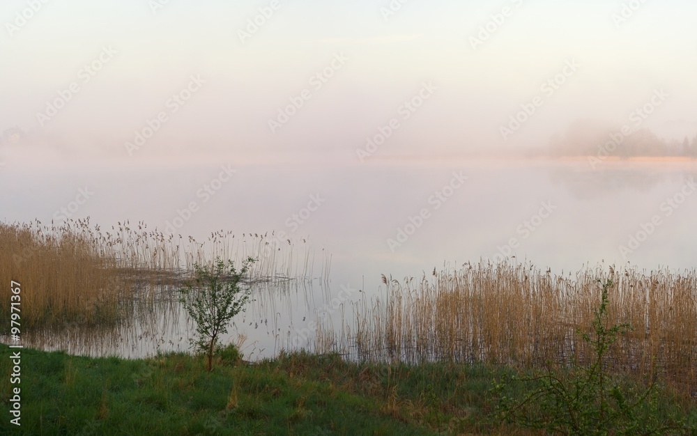 Morning foggy lake
