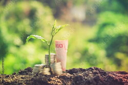 Wallpaper Mural plant growing out of coins with filter effect retro vintage style Torontodigital.ca