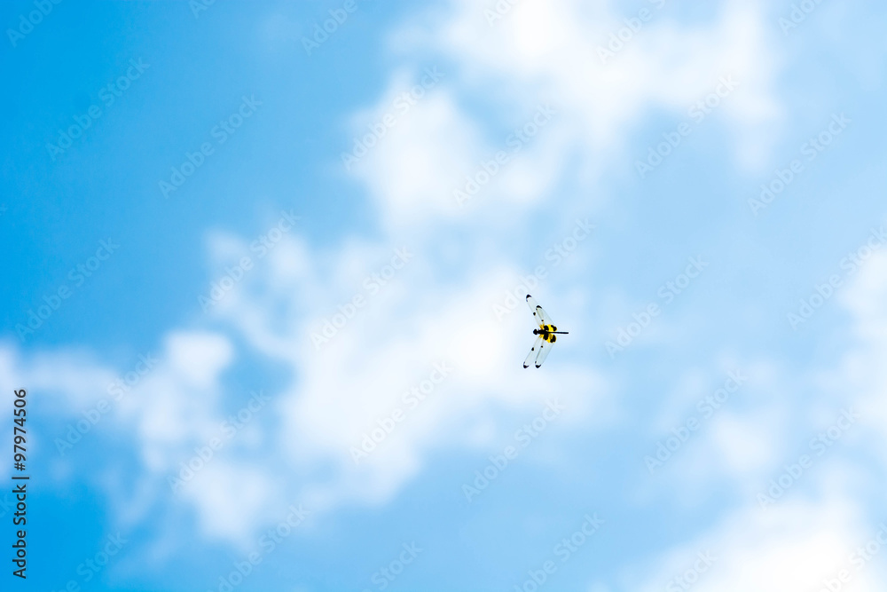 dragonfly flying on blue sky(Rhyothemis phyllis) dragonfly flying on blue sky(Rhyothemis phyllis)