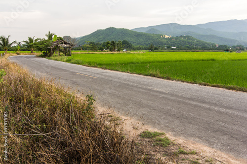 old cottage in the rice fields with mountain