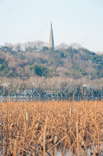 Baochu Pagoda on Beishan at West Lake, Hangzhou, China photo