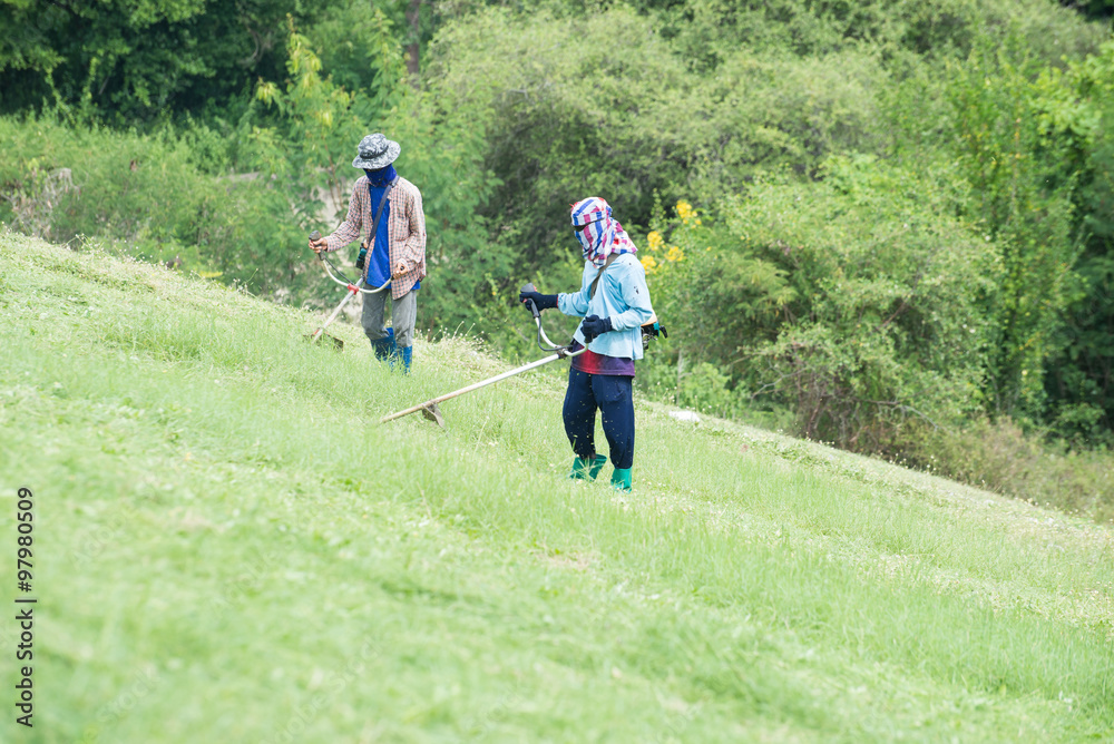 The workers were cutting grass