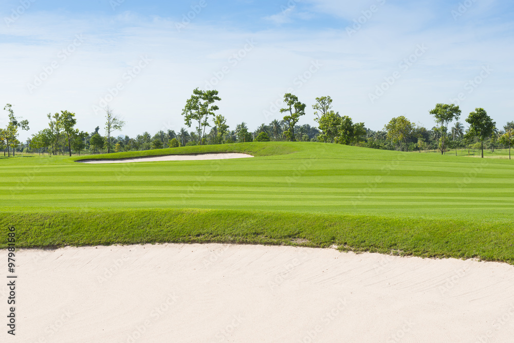 Naklejka premium golf field