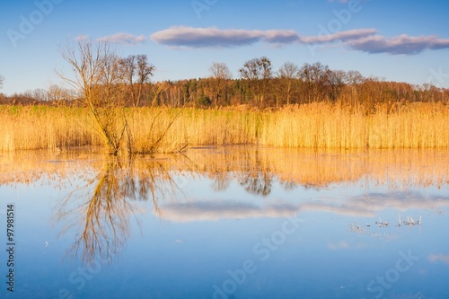 Beautiful small lake