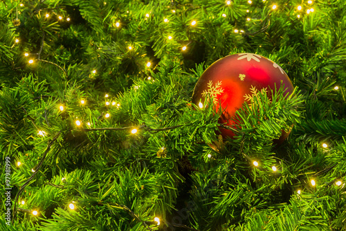 Red christmas ball on tree chrismas
