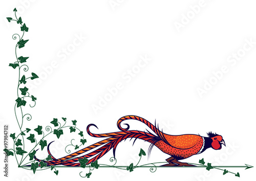 pheasant and ivy