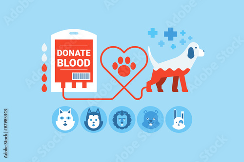 Dog Blood Donation Concept