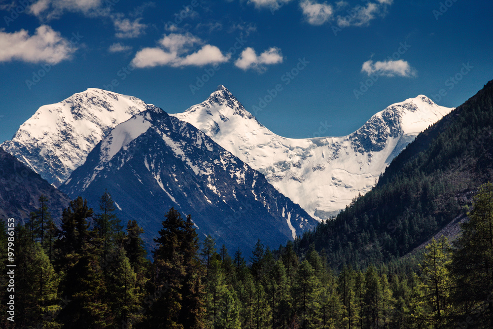 forested mountain slopes and snow-capped peaks