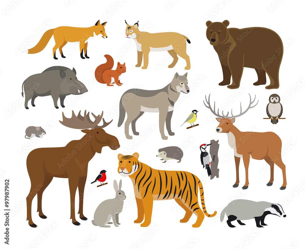 Set of Forest Animals Set of Forest Animals