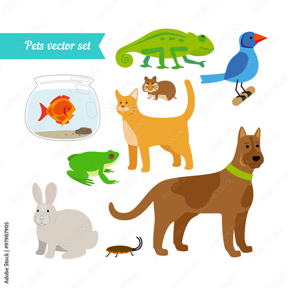 Obraz premium Set of pets