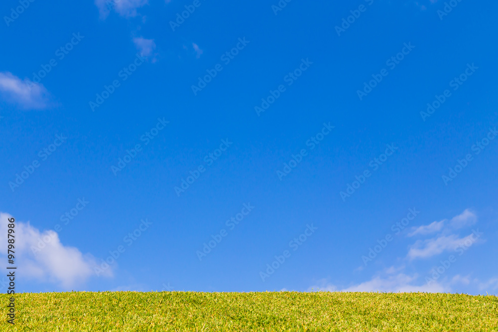 青空と芝生背景素材stock Photo Adobe Stock 青空と芝生背景素材stock Photo Adobe Stock