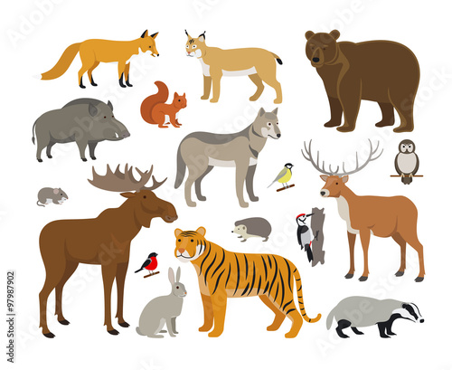 Set of Forest Animals