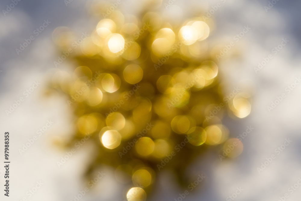 Blurred Golden Snowflake on Snow