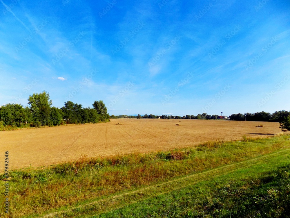 Fields, forest and sky