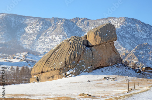 Stone Turtle in Terelj Park, Mongolia photo