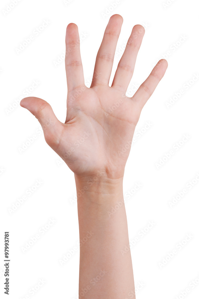 Hand of man Hand of man