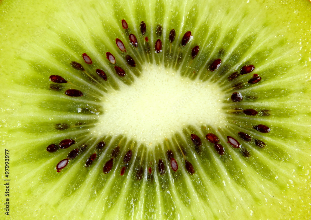 Zoomed sectional view of Kiwi fruit. Zoomed sectional view of Kiwi fruit.