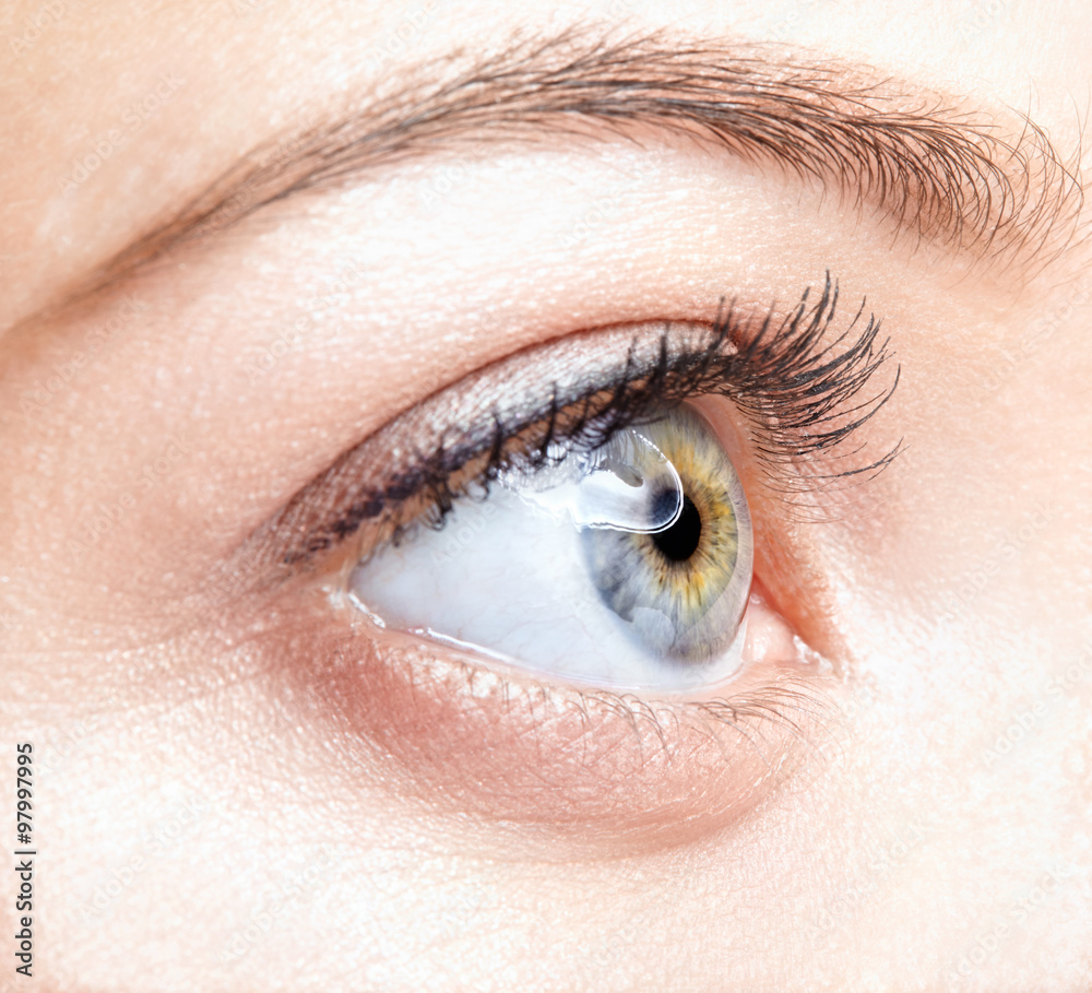 female eye zone and brows with day makeup female eye zone and brows with day makeup