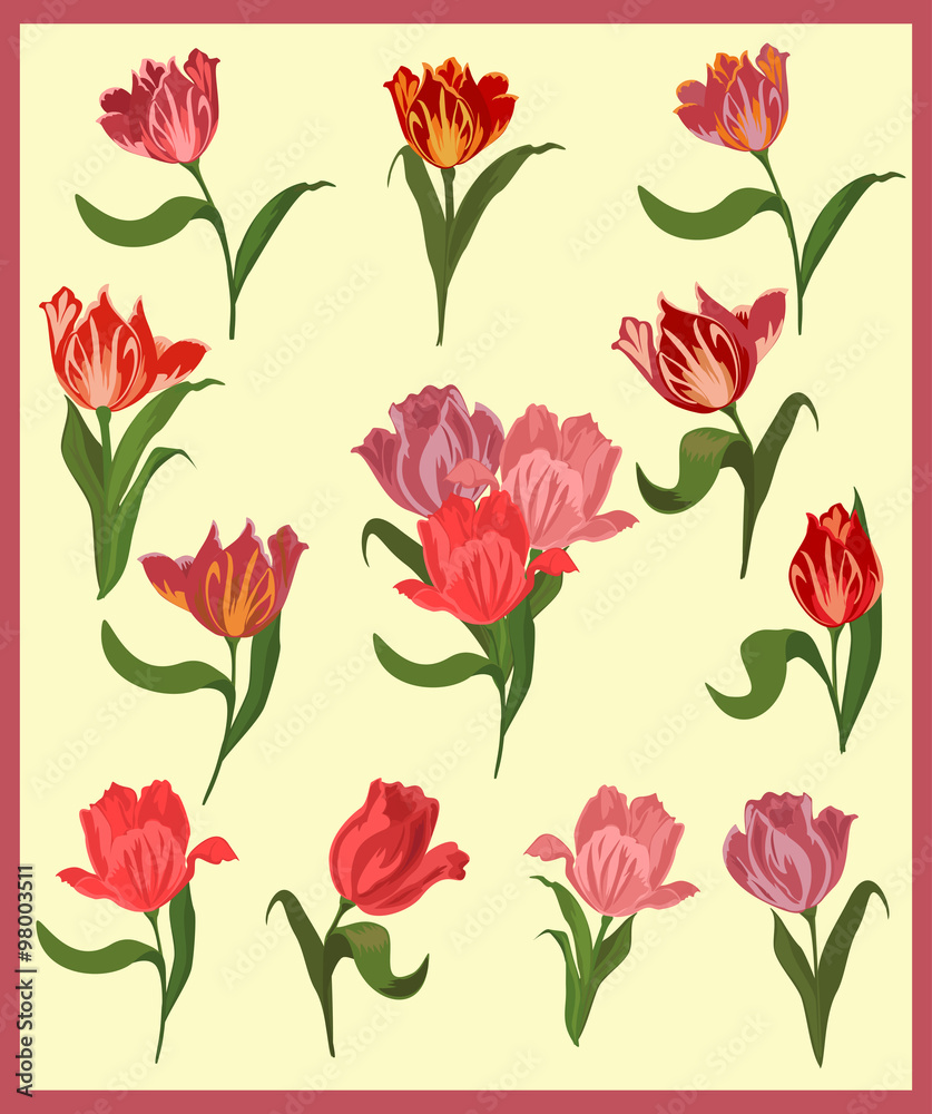 Vector set of elegant tulips in vintage style.