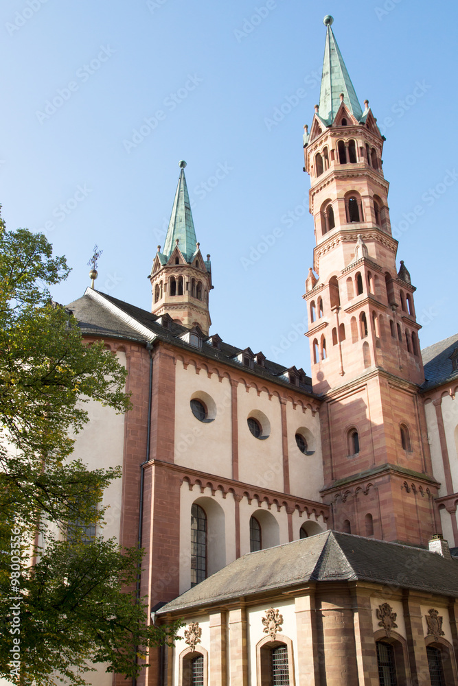 Fototapeta premium Würzburger Dom, Unterfranken, Deutschland