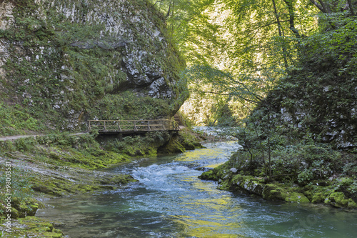 Vintgar gorge, wooden path and river Radovna. Bled, Slovenia.