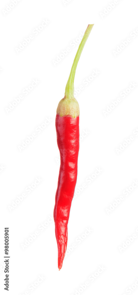 Red Hot chili pepper on white Red Hot chili pepper on white