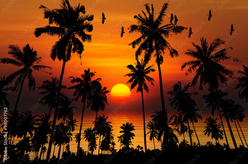 Tropical colorful sunset, Songkhla, Thailand