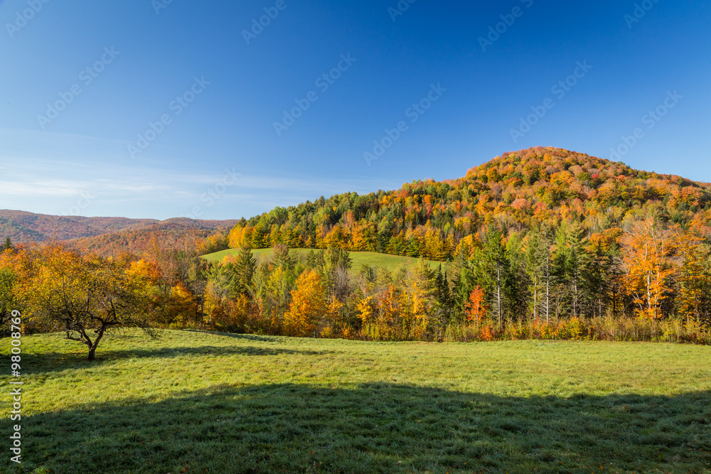 Falls foliage in Vermont countryside.