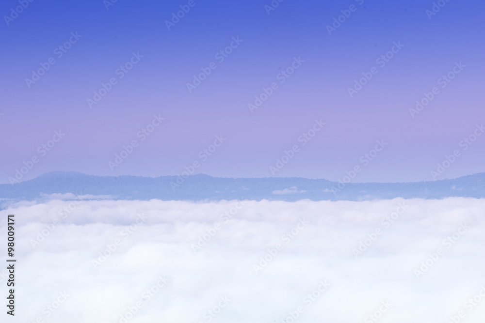 Fototapeta premium sea fog