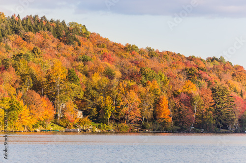 Autumn foliage in Elmore state park, Vermont