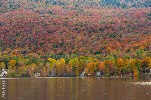Beautiful autumn foliage and cabins in Elmore state park, Vermont 