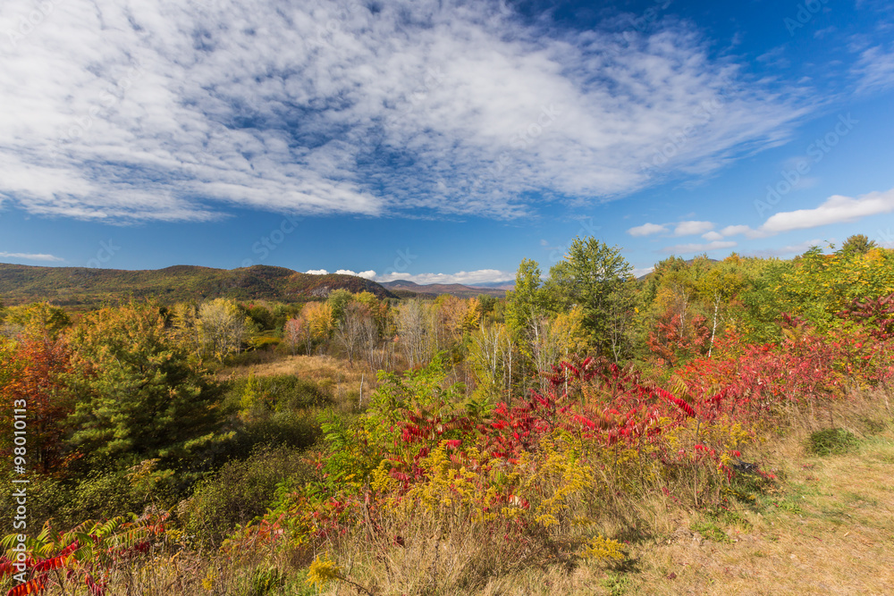 White mountain National forest in autumn, New  Hampshire