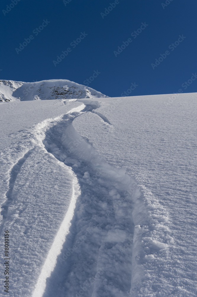 trace in snow