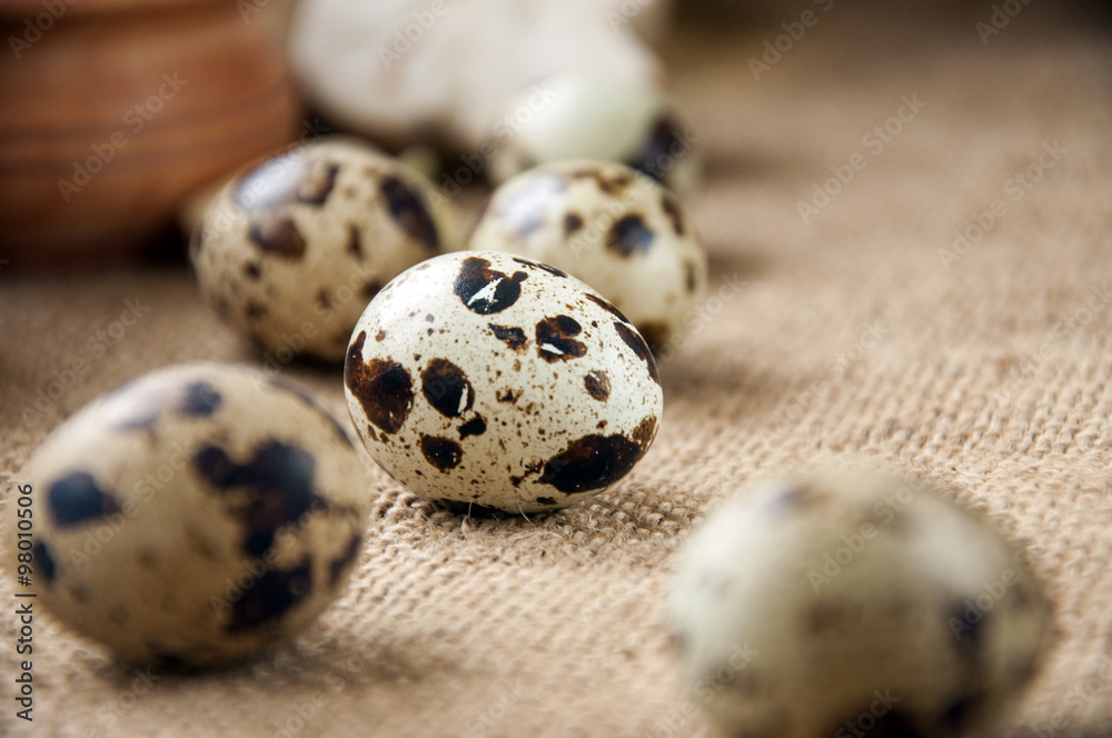 Quail eggs on the background burlap