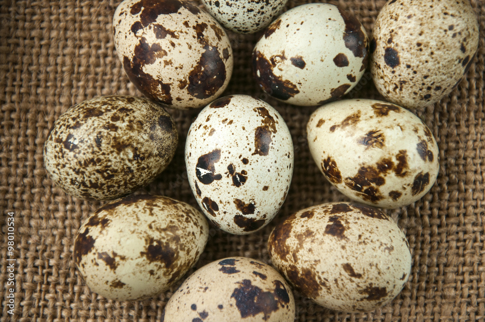 Obraz premium Quail eggs on the background burlap
