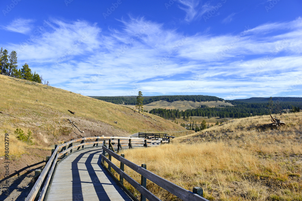 Wooden Boardwalks on the geothermal areas of Yellowstone National park, protect both visitors and the fragile volcanic environment of microorganisms that create the colorful mats near the hot springs Wooden Boardwalks on the geothermal areas of Yellowstone National park, protect both visitors and the fragile volcanic environment of microorganisms that create the colorful mats near the hot springs