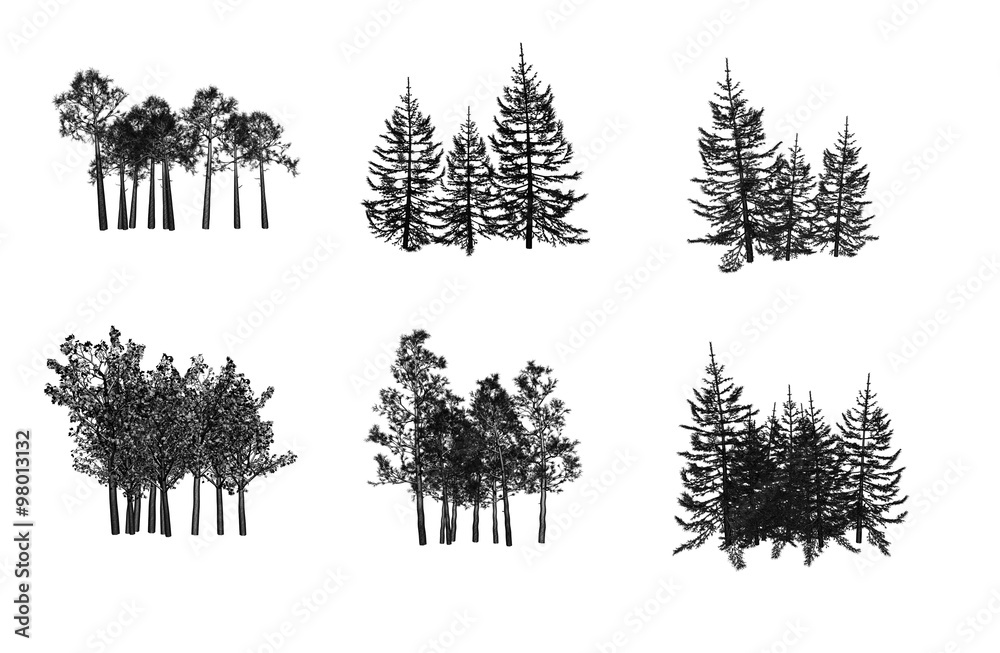 Tree Tree