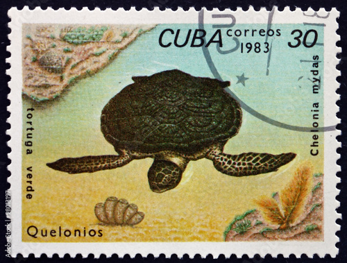 Postage stamp Cuba 1983 Green Sea Turtle