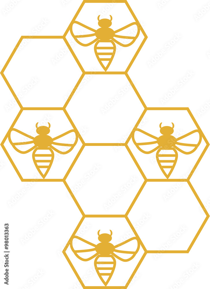 Pszczoły, plaster miodu - obrazy, fototapety, plakaty 