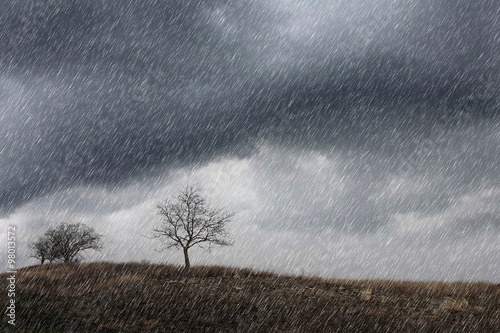 Rain