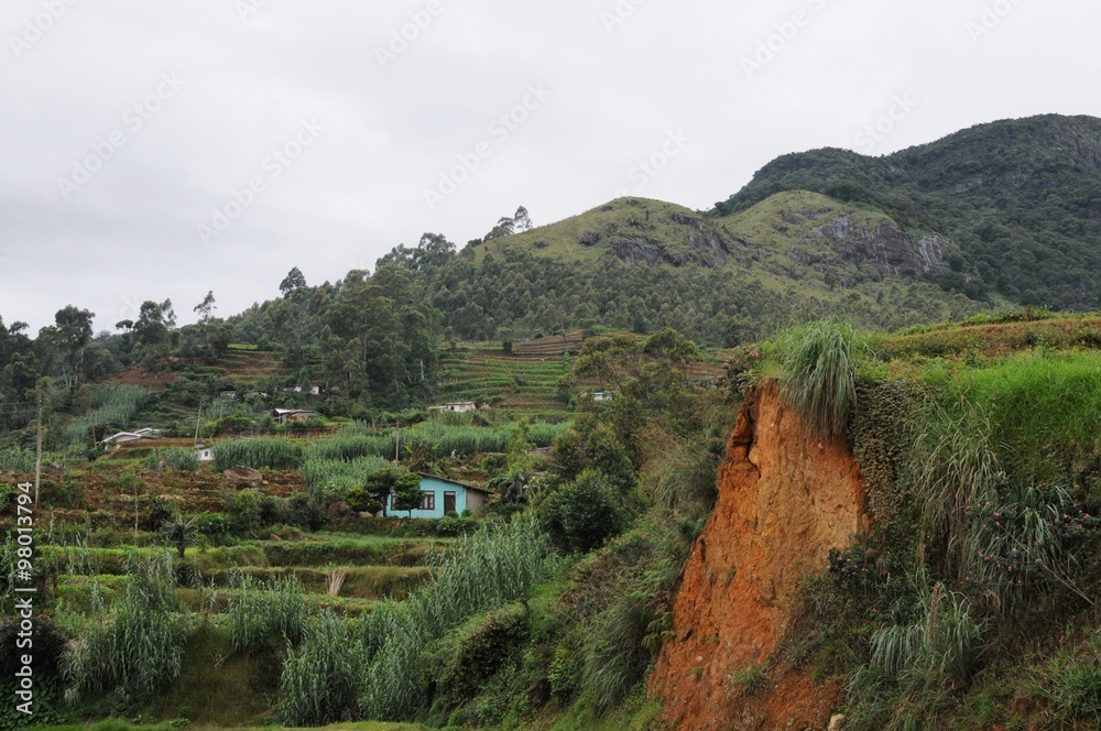 Mountain village in the surroundings of Nuwara Eliya.