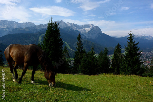 Blick vom Wank auf das Wettersteingebirge und Garmisch-Partenkirchen