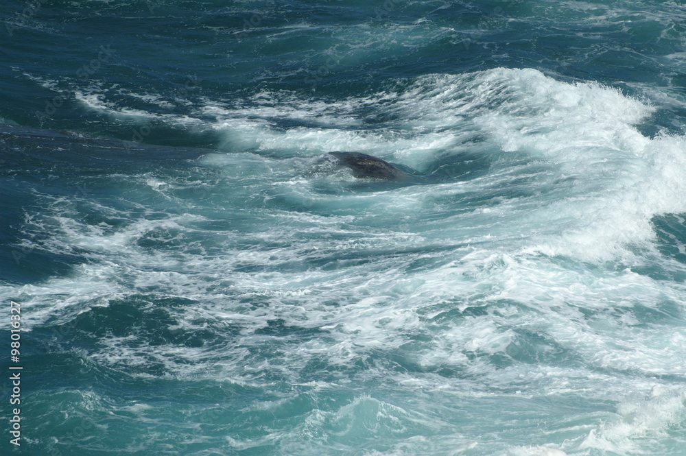 Fototapeta premium Fale wody w świetle dziennym