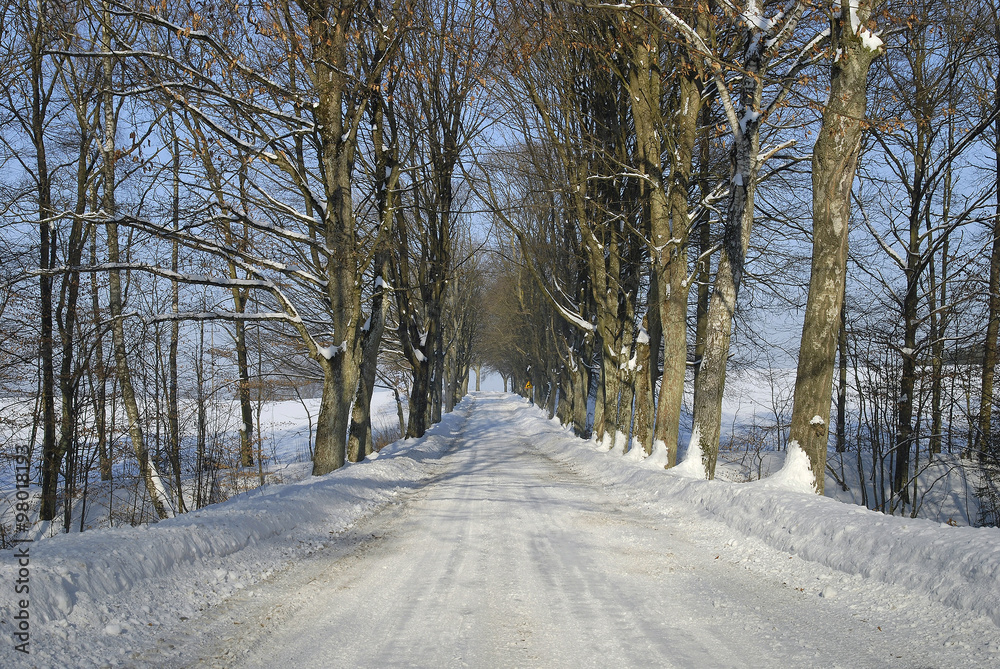 Fototapeta premium Ośnieżona droga wiejska