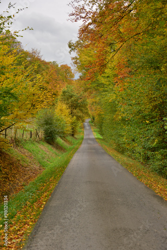 Straße in Herbstlandschaft © igorwink