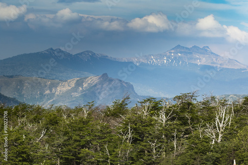 forest and mountains